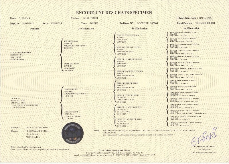 pedigree loof livre officiel verso