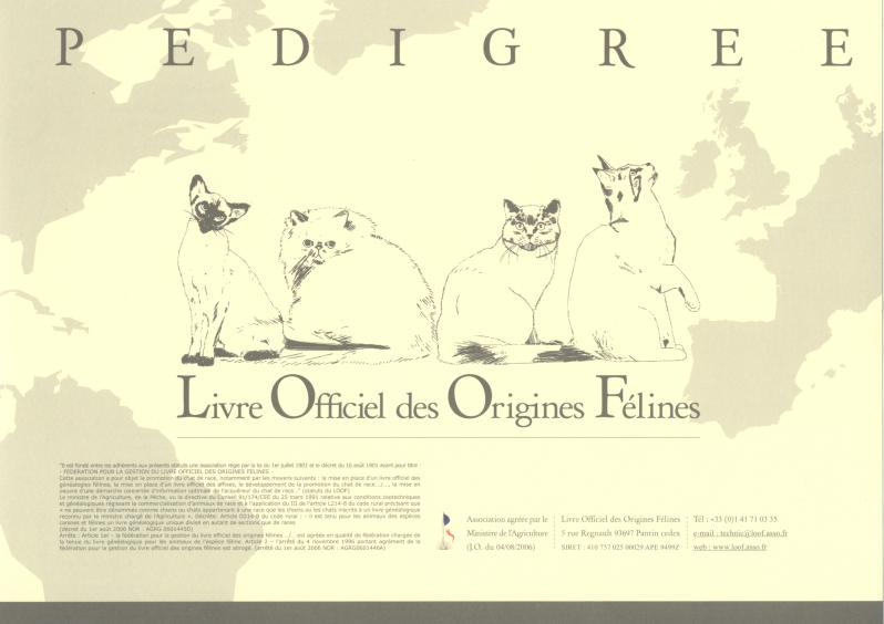 pedigree loof livre officiel
