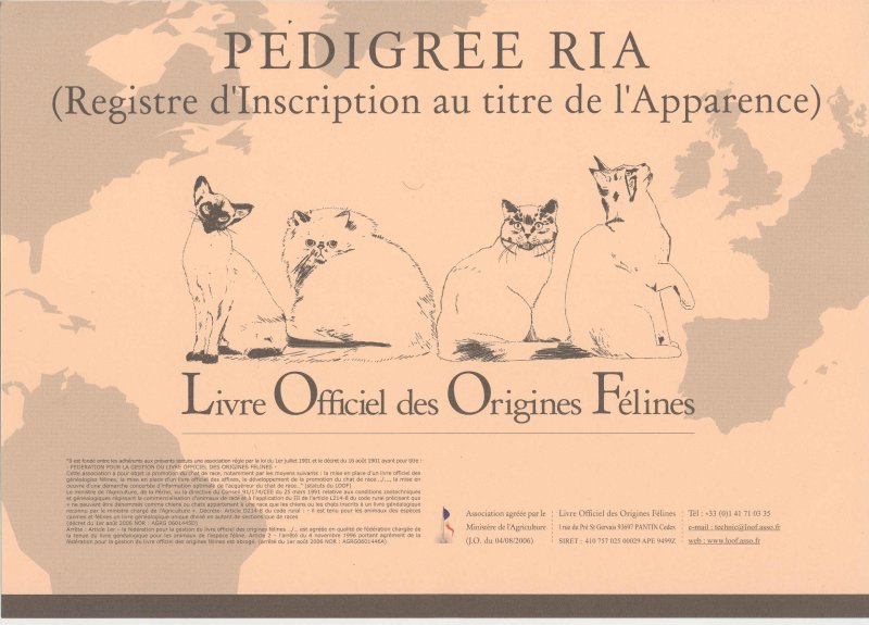 pedigree loof ria