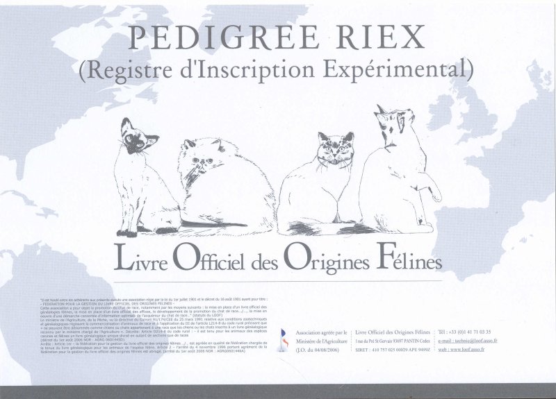 pedigree loof riex