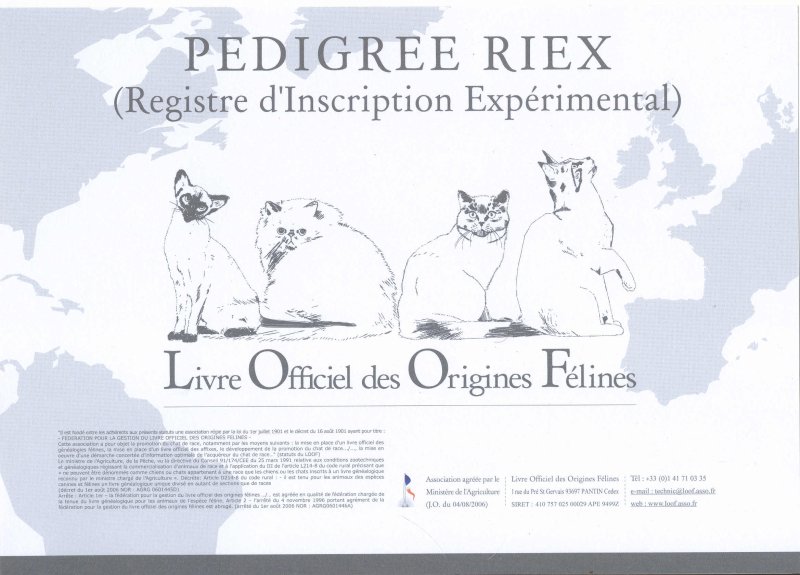 Pedigree Loof Le Pedigree Riex Pedigree Ria Le Type Chartreux