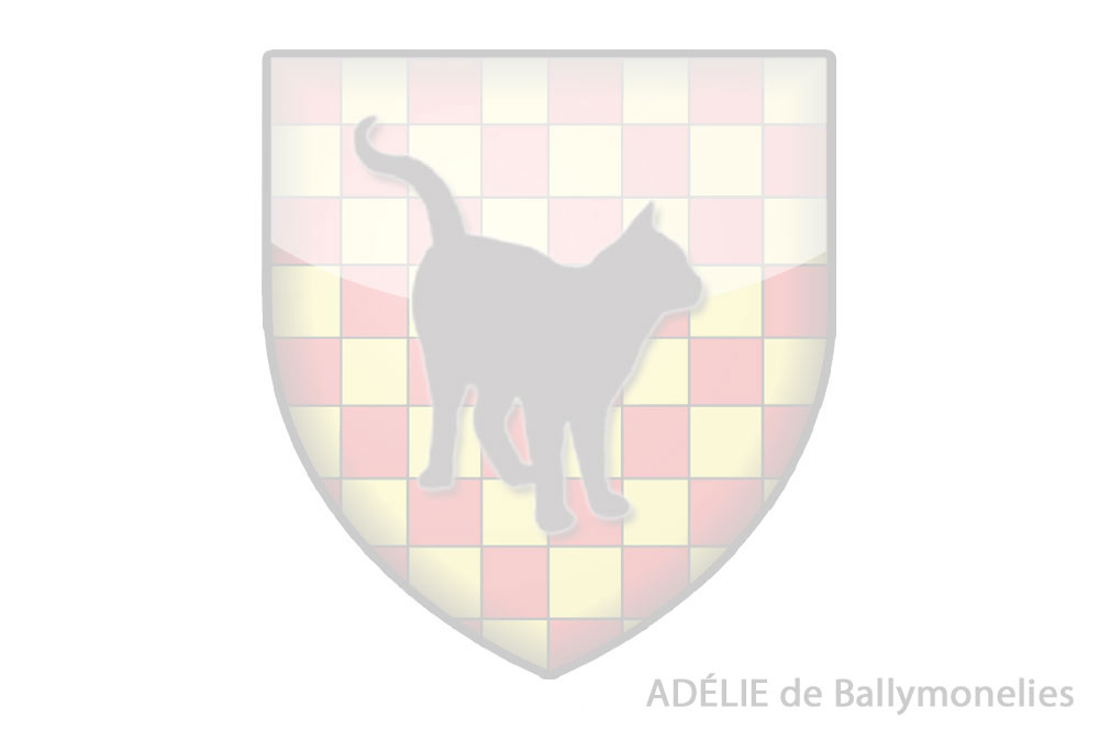 Adelie de Ballymonelies