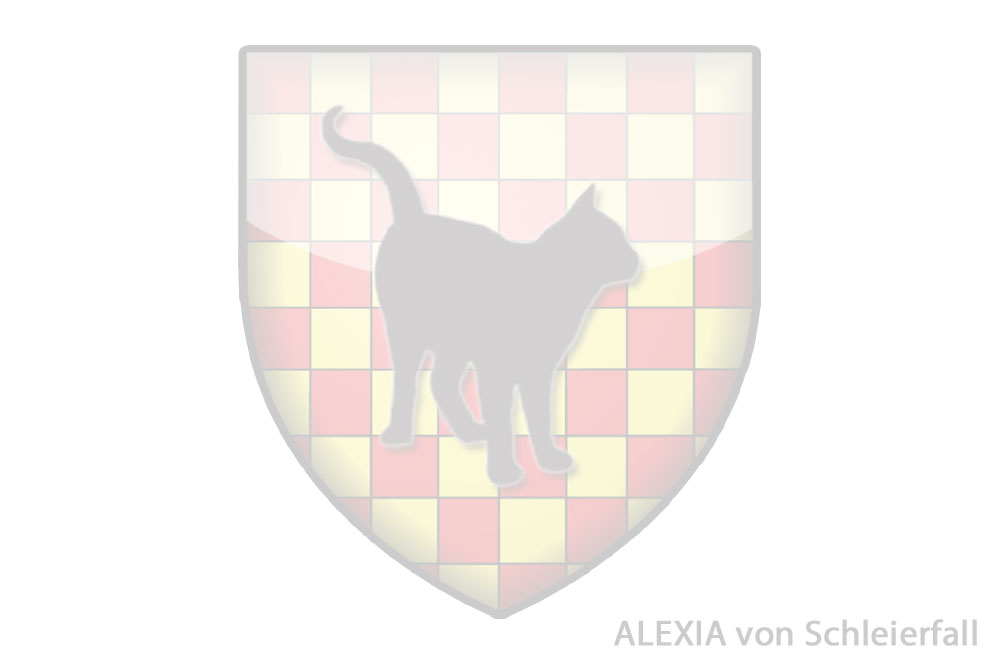 Alexia-von-schleierfall